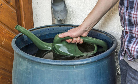 Softening Water: How To Get Soft Water For Plants