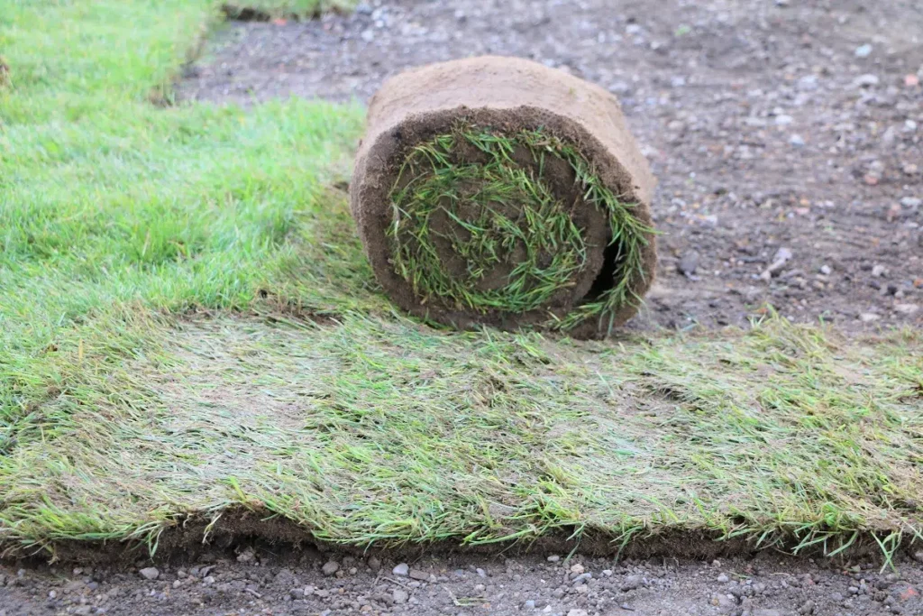 How To Prepare Your Soil For Sod