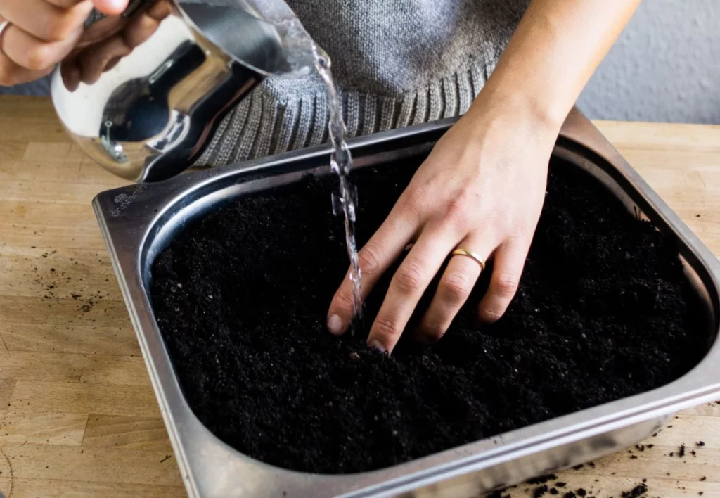 Make Your Own Growing And Seedling Soil