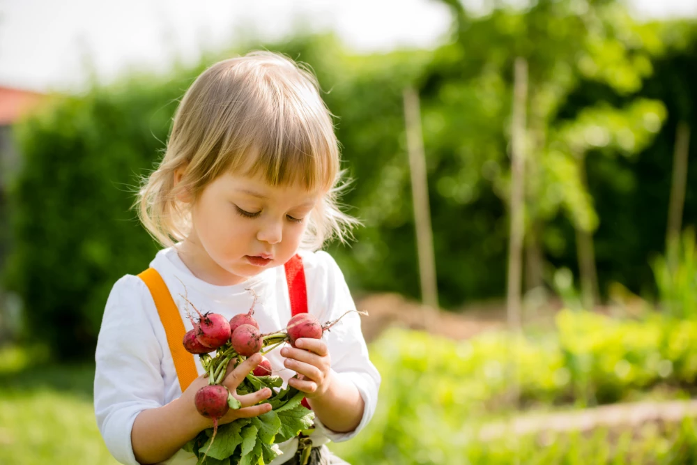 Gardening With Children: 10 Simple Planting Projects For Big And Small