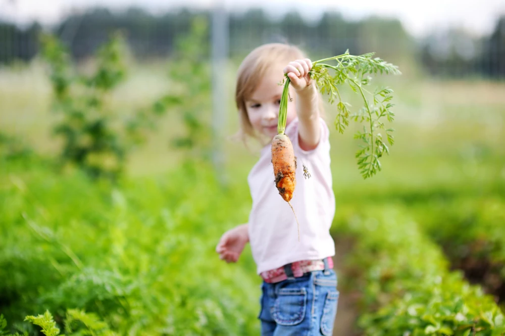 Gardening With Children: 10 Simple Planting Projects For Big And Small