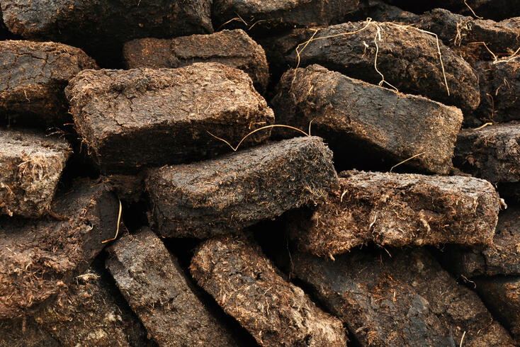 Disadvantages Of Peat-Free Compost