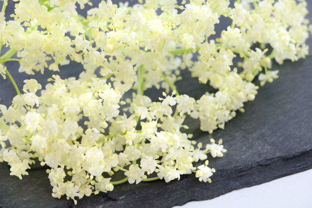 Make Your Own Elderflower Tea | Drying Elderflowers Properly