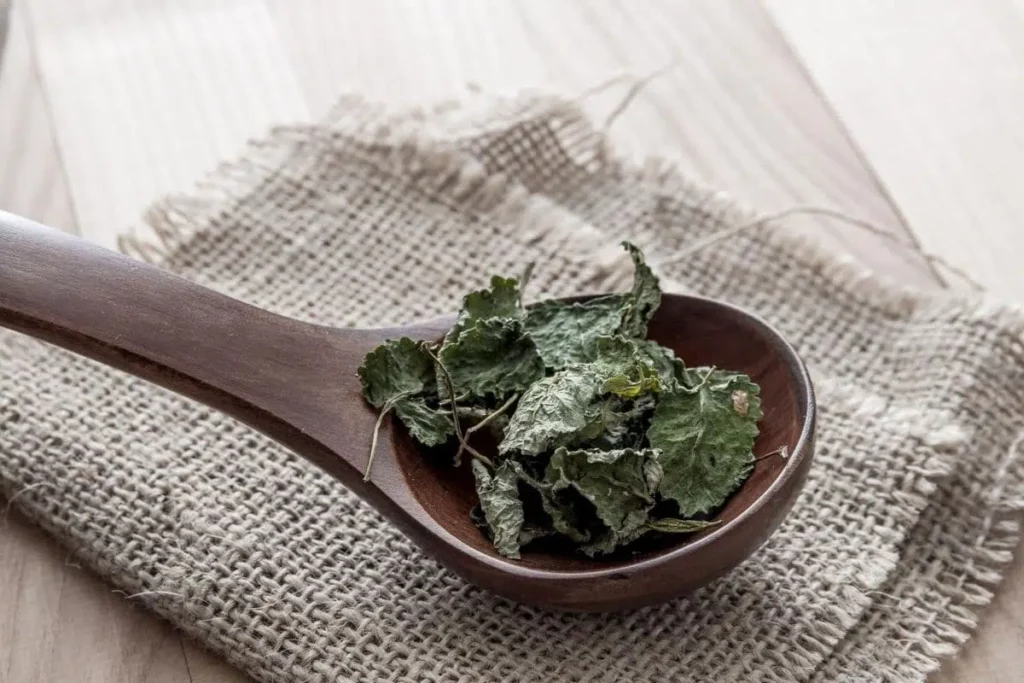 Drying Lovage In 5 Steps