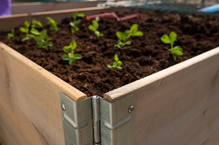 Building Raised Bed From Pallets In 5 Steps