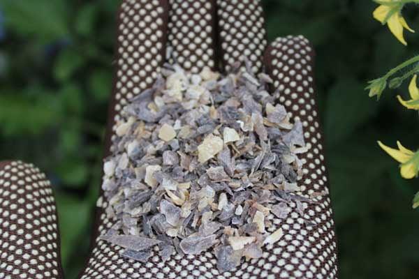 Horn Shavings: How To Use The Organic Fertilizer