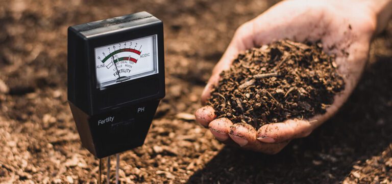 Soil Analysis: Analyze And Improve Garden Soil
