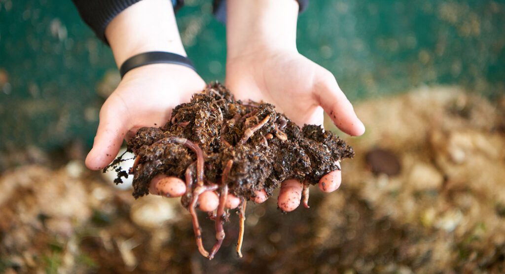 10 Reasons Compost Does Not Rot