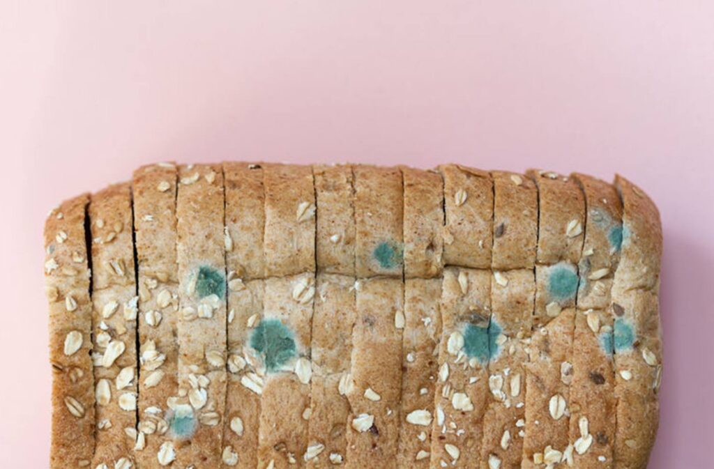 Can You Compost Moldy Bread?
