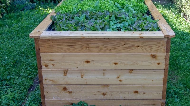 Metal Raised Bed: The Pros And Cons