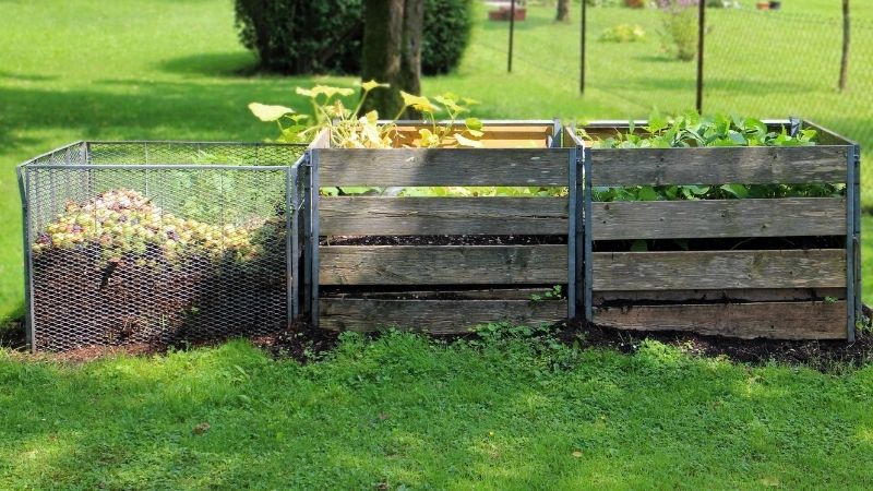 10 Reasons Compost Does Not Rot