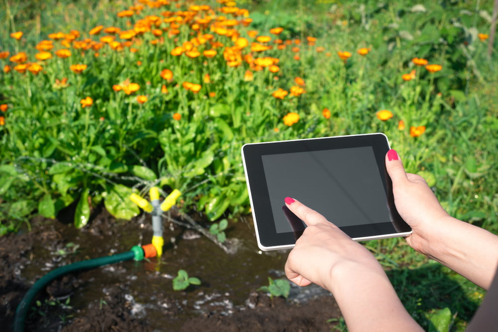 Smart Garden: Automatic Watering And Lifehacks To Save Water