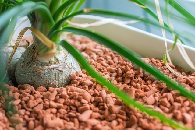 Diy Automatic Watering For Indoor Plants