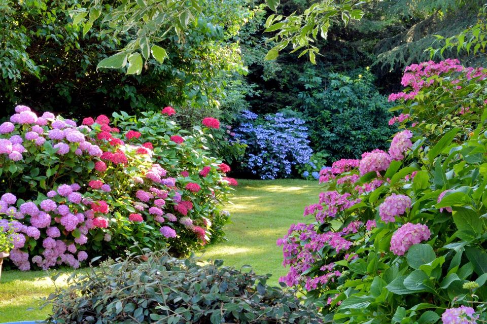 How To Create A Small Romantic Garden