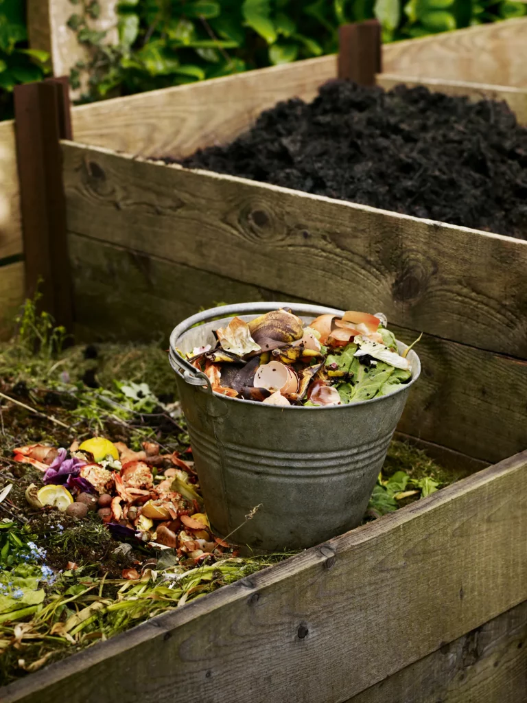 Making Bacteria-heavy Compost Yourself