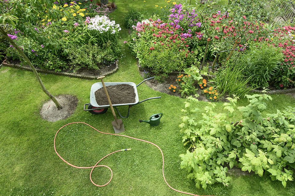 Sowing Lawn: How To Get A Dense Lawn