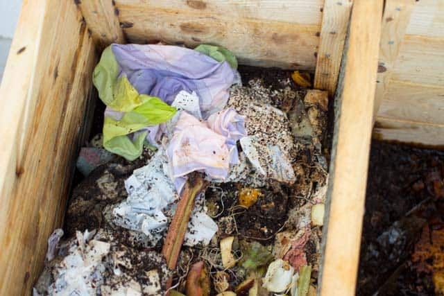 Composting In The City Apartment With A Worm Bin