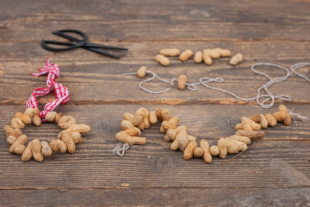 Do It Yourself: Make Peanut Necklace For Birds