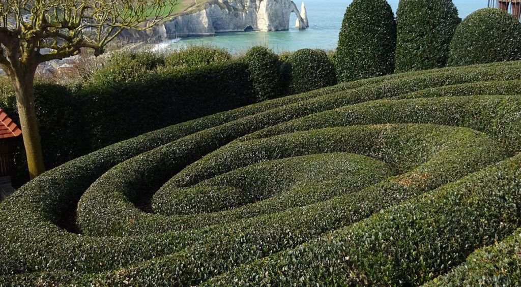 The Best Plants For Topiary