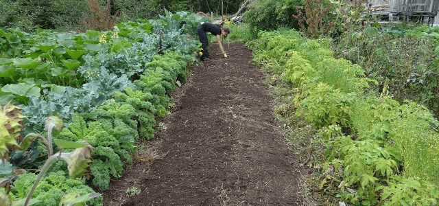 Mixed Cropping And Crop Rotation: What Gardeners Should Know