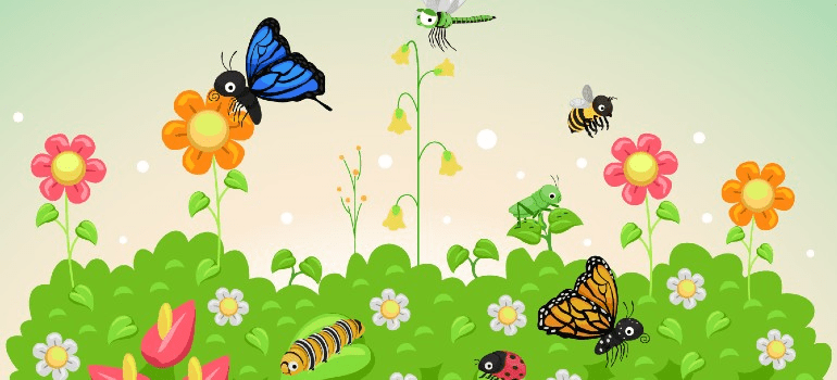 Designing An Insect-friendly Garden