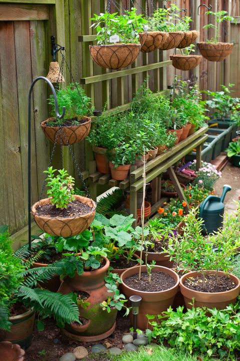 Gardening Without a Garden (How To Make A Pot Garden)