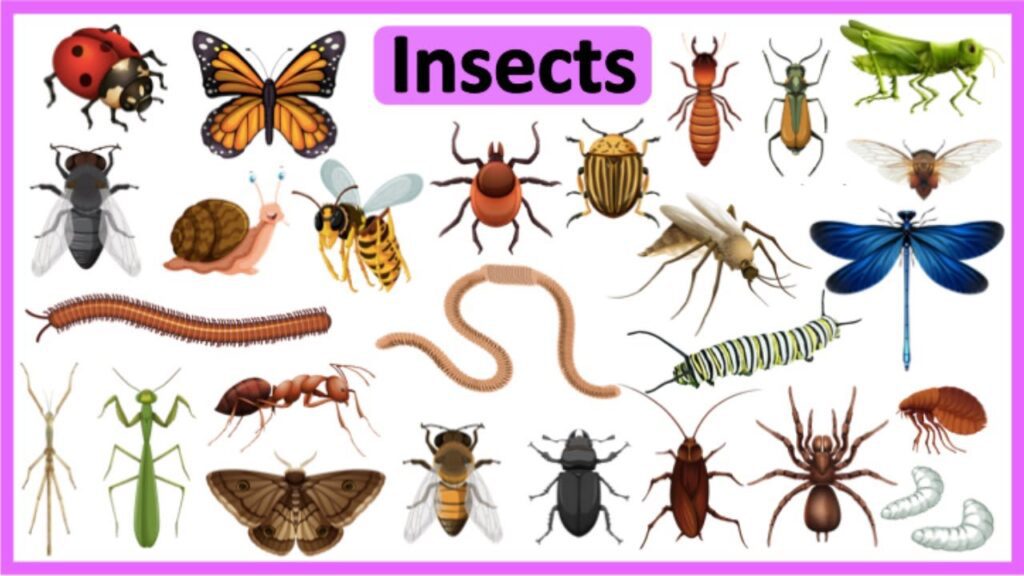 Beneficial Insects In The Garden: How To Attract The Animal Helpers!