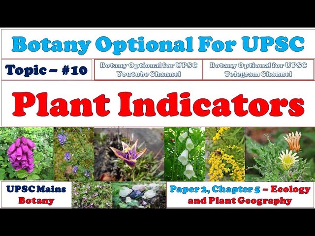 What plants are used as indicators?