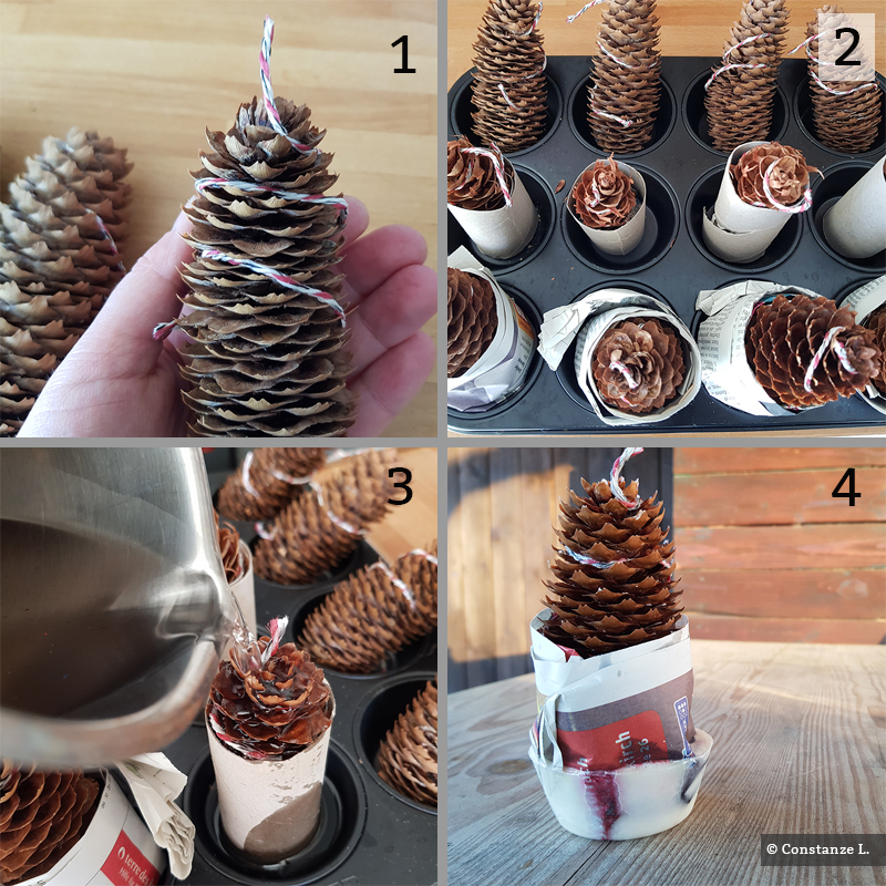 Do It Yourself: Barbecue Lighter Made From Spruce Cones