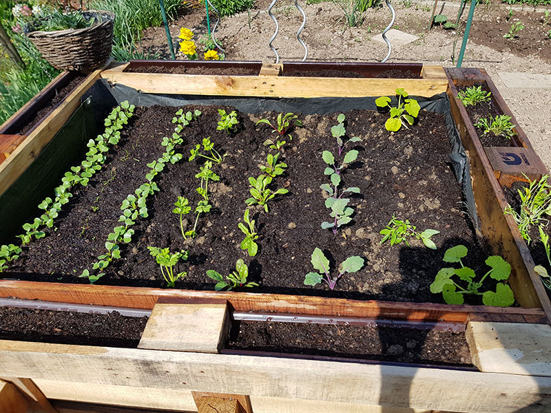 Do It Yourself: Building a Raised Bed From Pallets