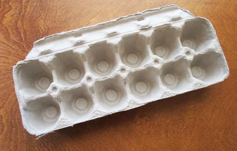 Do It Yourself: Growing Aid From Egg Cartons