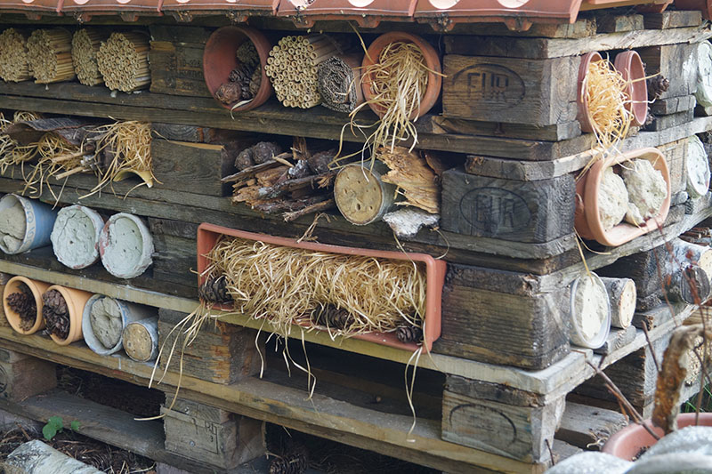 Do It Yourself: Building An Insect Hotel From Old Pallets