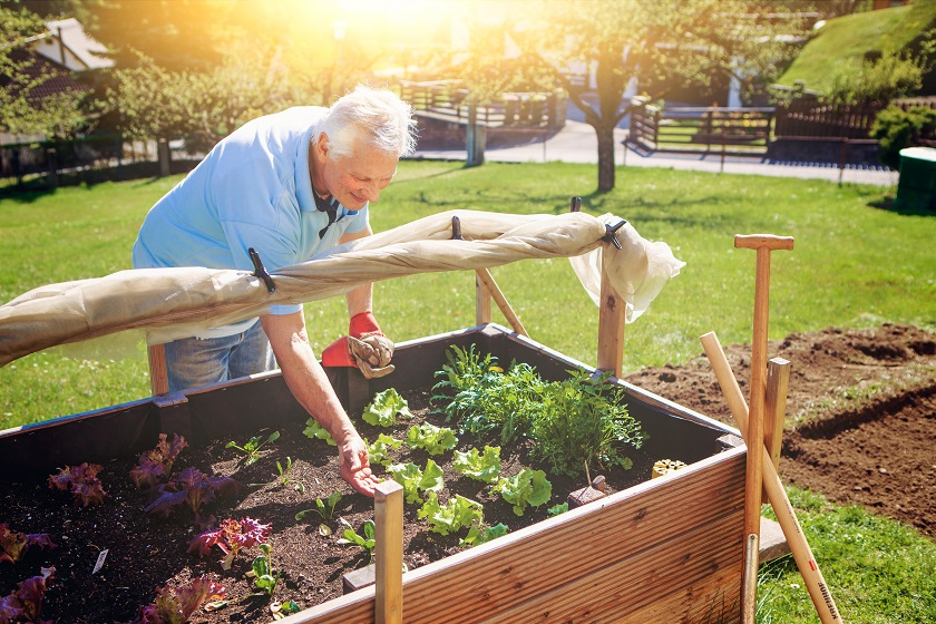 Gardening in Old Age - How to Create a Low-maintenance Garden for Seniors