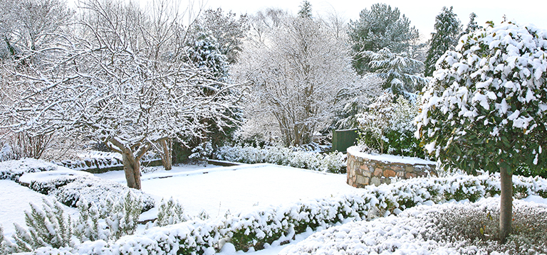 How Do I Winterize My Outdoor Garden?