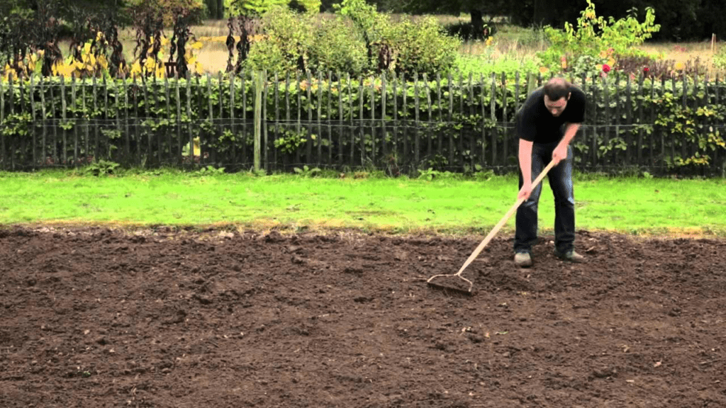 Sowing Lawn - From Digging to Watering