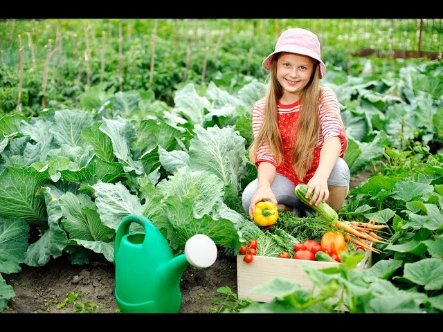 Teaching children the joy of gardening