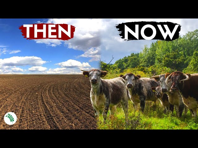 7 Animals That Will Transform the UK
