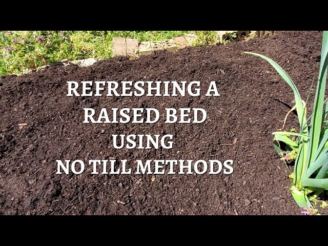 Updating a Raised Bed Using the No Till Method