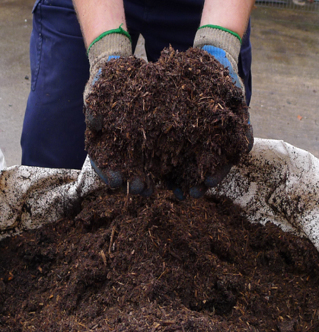 Can You Compost Old Used Up Potting Soil