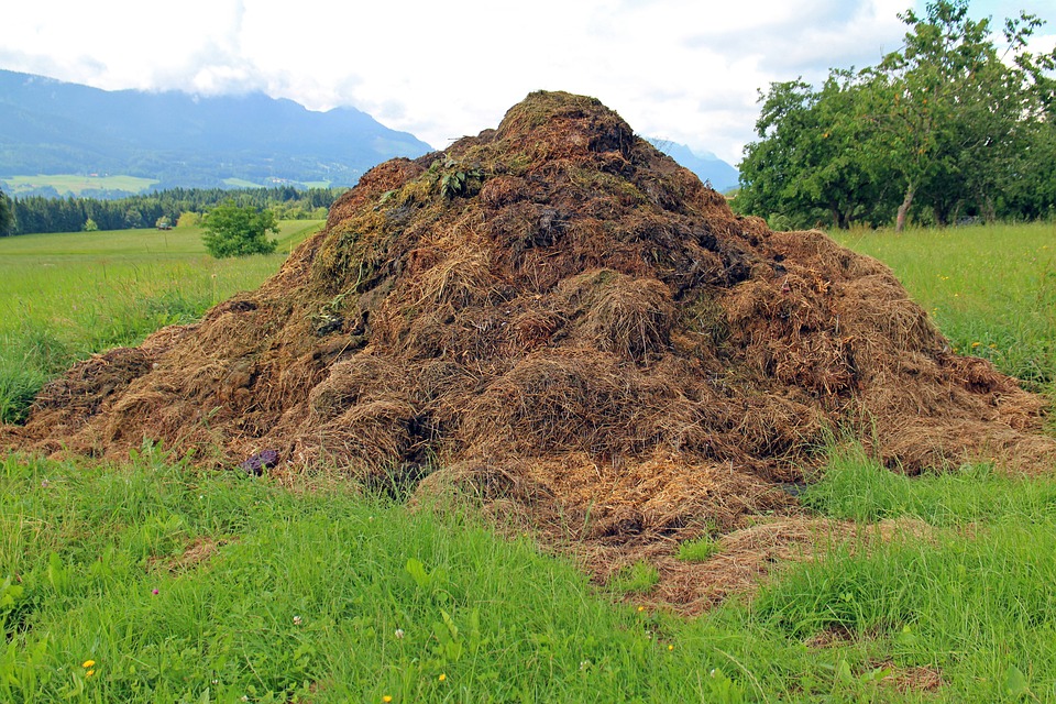 How Composting Can Help Make Weeding Easier