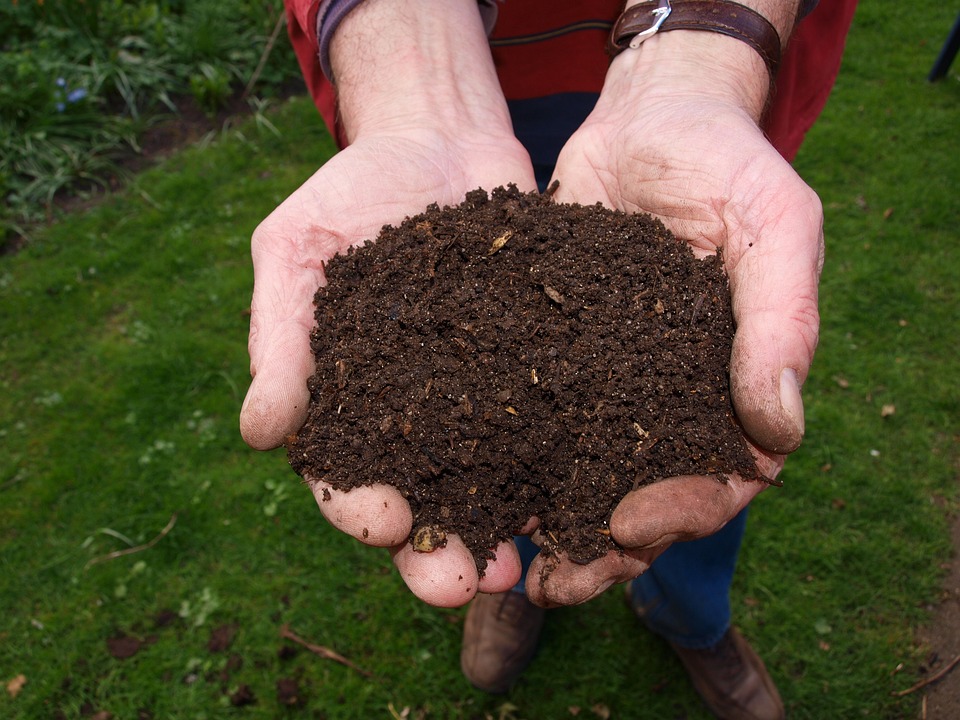 Unpleasant Smells and Pests: The Drawbacks of Composting