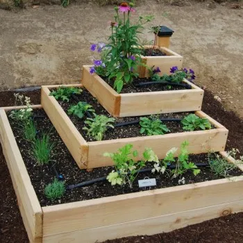 Mini Organic Vegetable Garden: How to make an urban vegetable garden at home