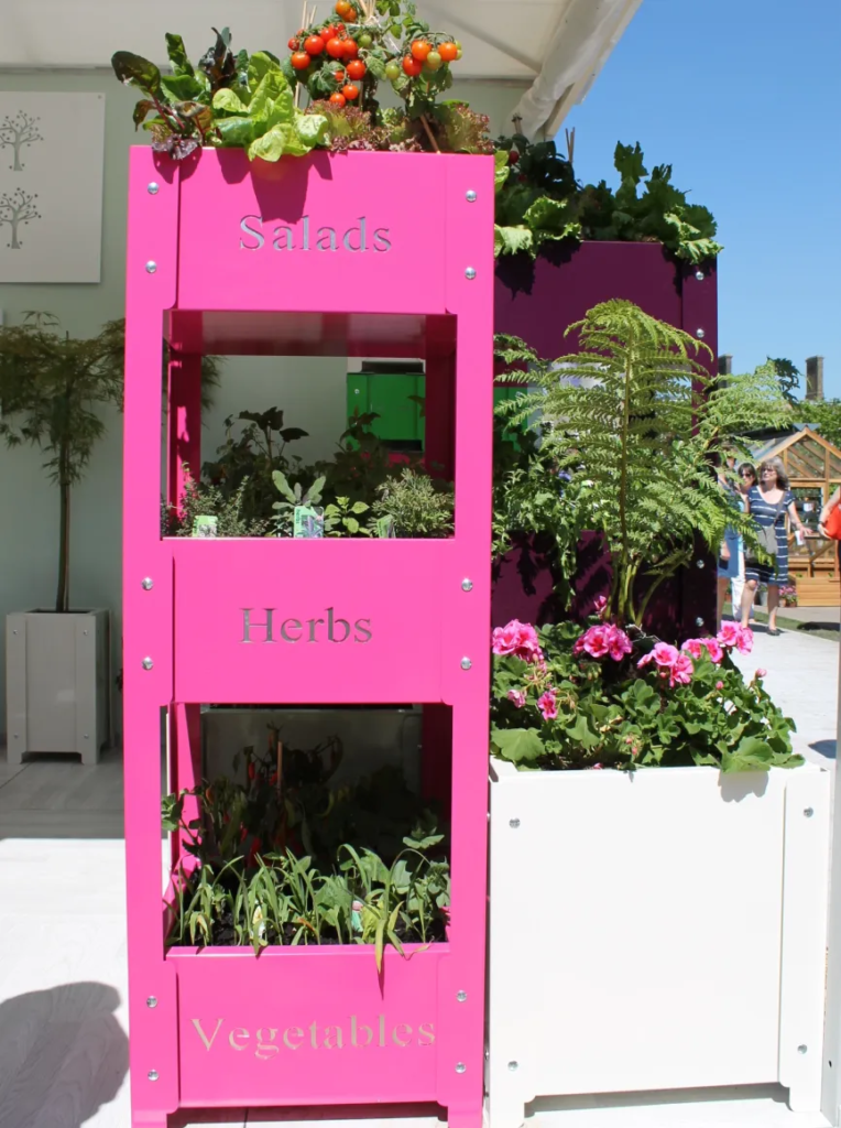 Mini Organic Vegetable Garden: How to make an urban vegetable garden at home