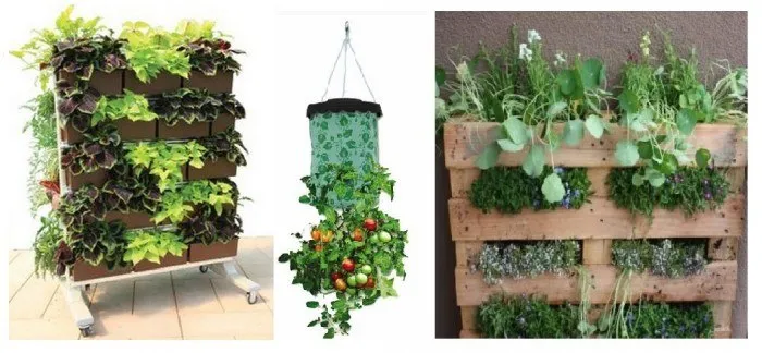 Mini Organic Vegetable Garden: How to make an urban vegetable garden at home