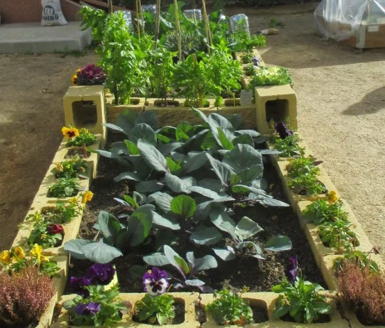 Mini Organic Vegetable Garden: How to make an urban vegetable garden at home