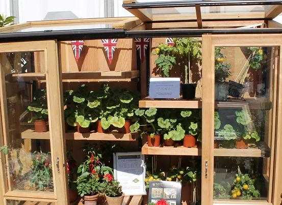 Mini Organic Vegetable Garden: How to make an urban vegetable garden at home
