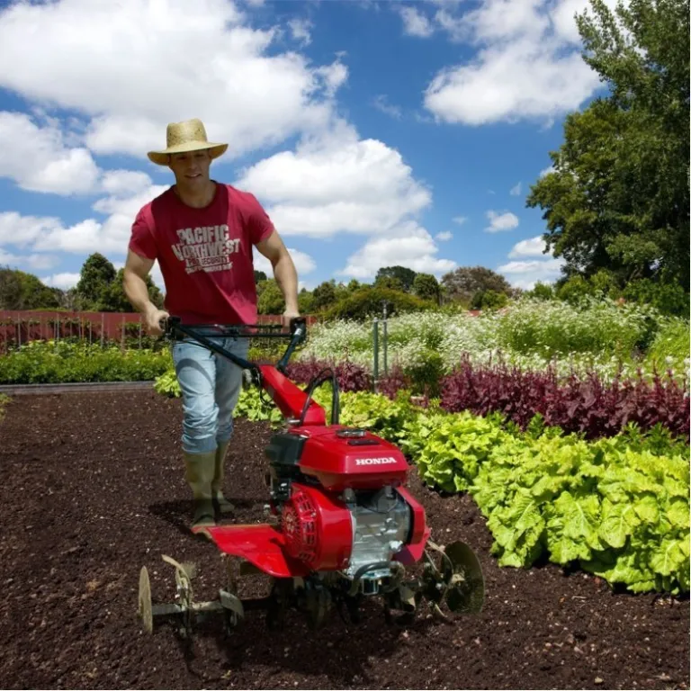 Cultivators and motor cultivators for the vegetable garden. Differences and how they work