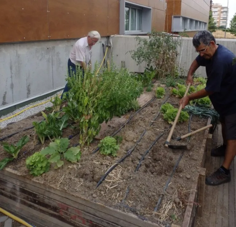 Recycling in the Garden: How to use recycled materials