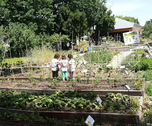 School gardens: Objectives and benefits of school gardens