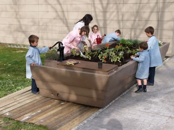 School gardens: Objectives and benefits of school gardens